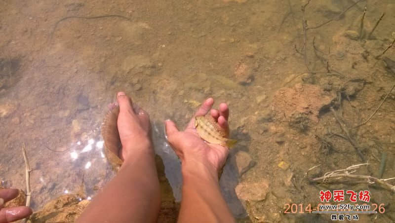 QQ图片20140706213221.jpg