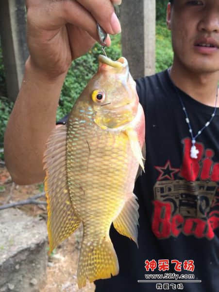 QQ图片20140706213309.jpg