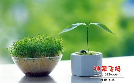 QQ图片20140717083840.jpg