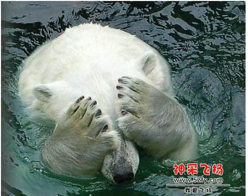 360截图20140723230838203.jpg