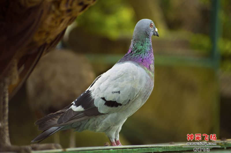 DSC0578”为智能对象-1.jpg