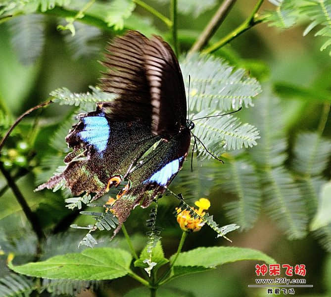 _DSC6778.jpg