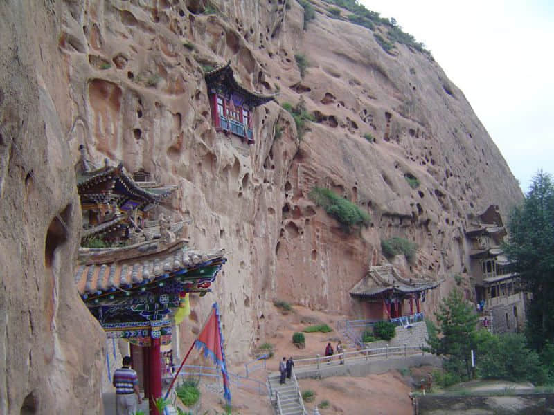 DSC00505_副本.jpg