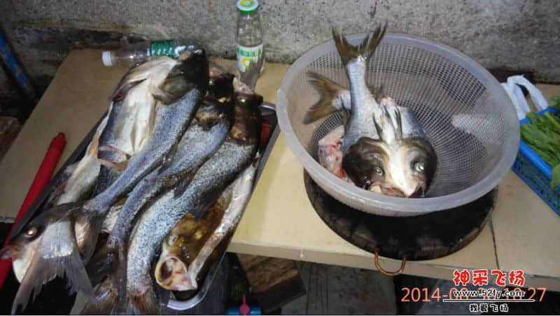 QQ截图20140901010151.jpg