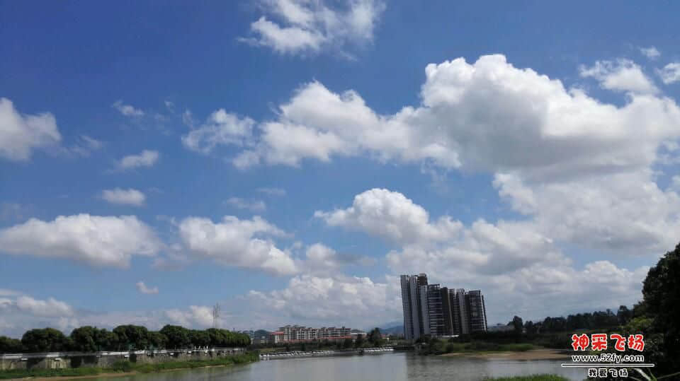 IMG_20140908_103749.jpg
