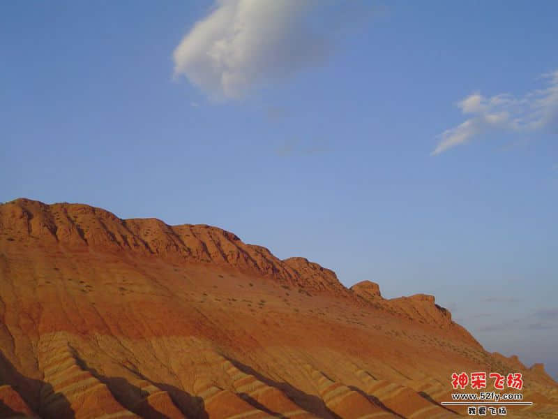DSC00553_副本.jpg