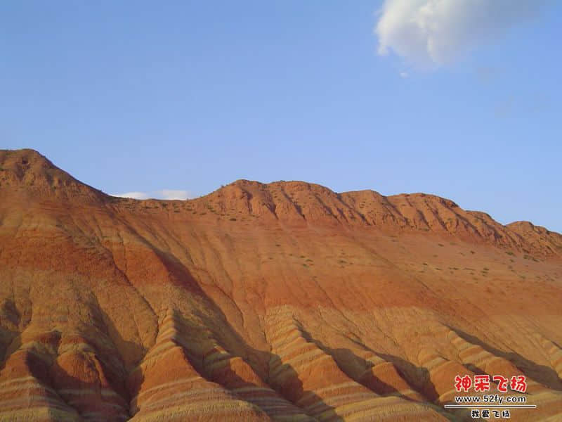 DSC00554_副本.jpg