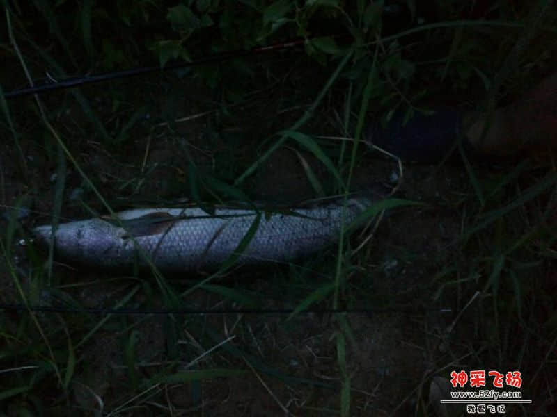 QQ图片20140824194734.jpg