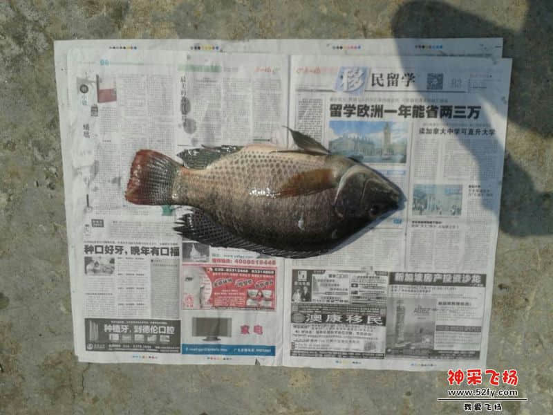 QQ图片20140929124401.jpg