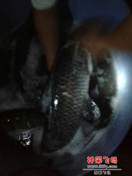 QQ图片20140925212047.jpg