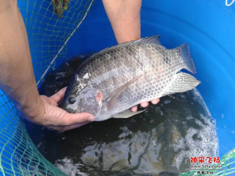 QQ图片20140929124155.jpg