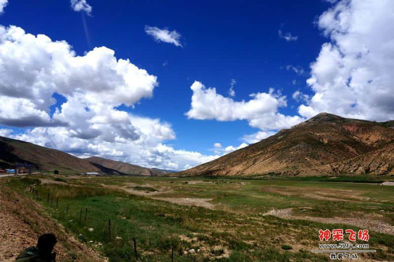 DSC02373_副本.jpg