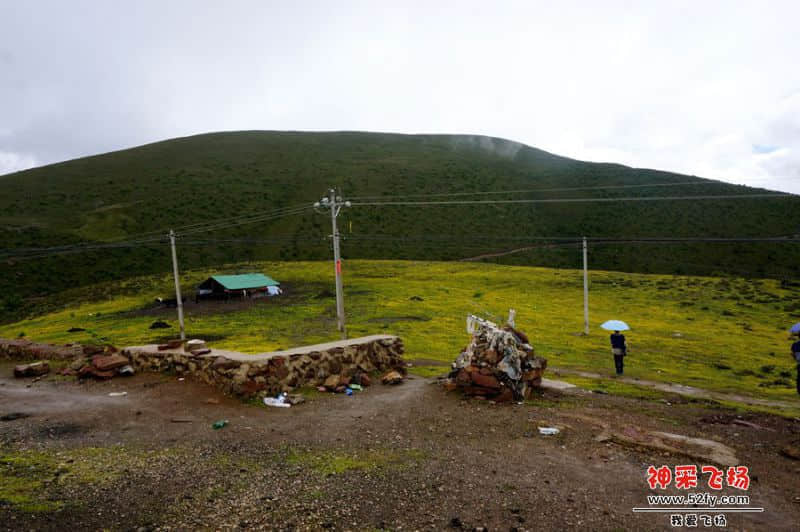 DSC02174_副本.jpg