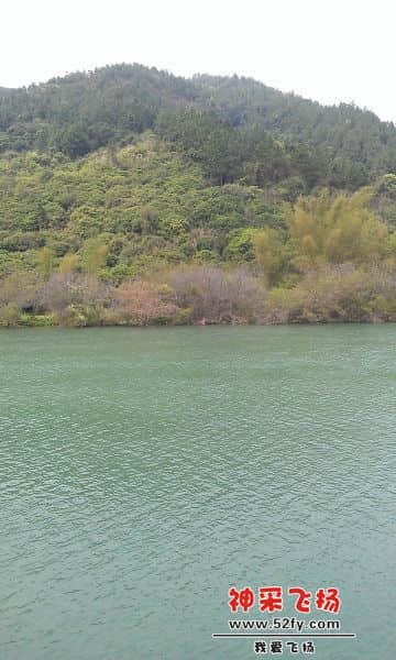 绿油油.jpg