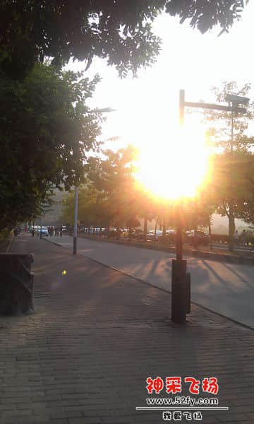 IMAG2977.jpg