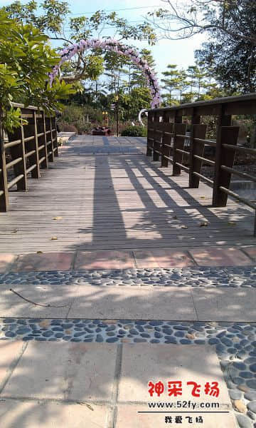 IMAG1184.jpg
