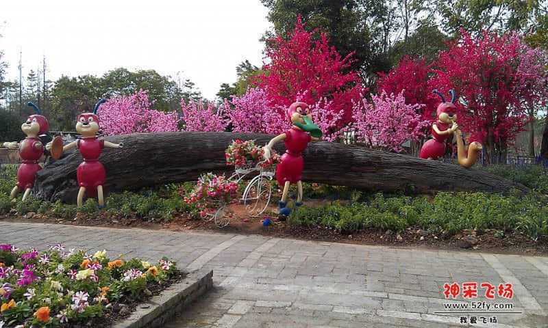 IMAG1149.jpg