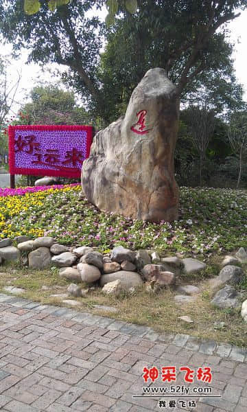 IMAG1156.jpg