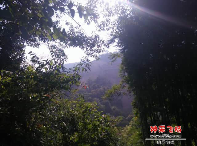 调整大小 IMG_20141020_094847.jpg
