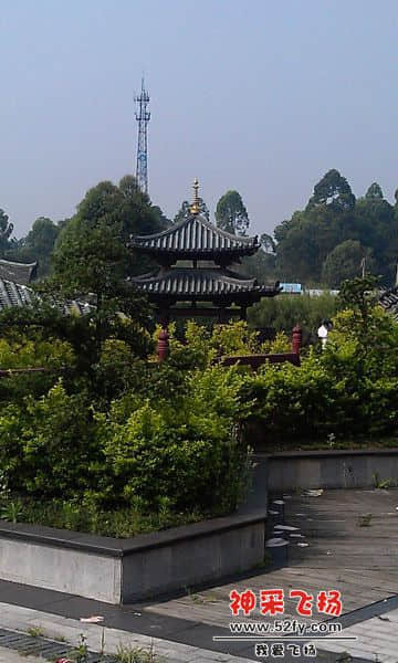 IMAG2075.jpg