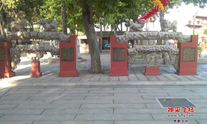 IMAG1323.jpg