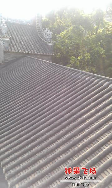 IMAG1366.jpg