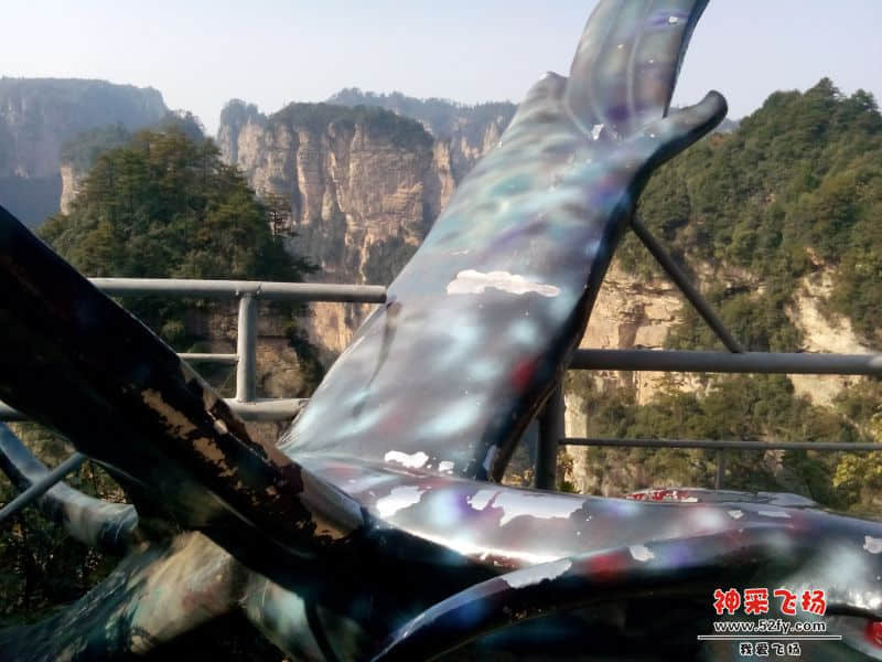 张家界飞机.jpg