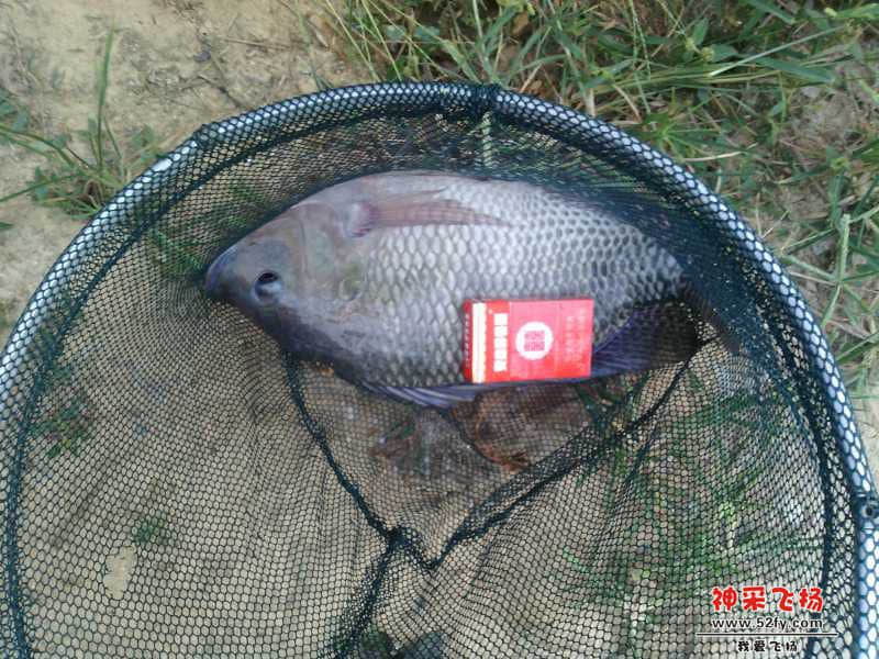 IMG20141029171415.jpg