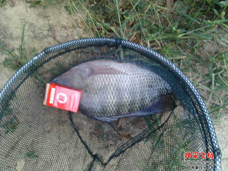 IMG20141029171408.jpg