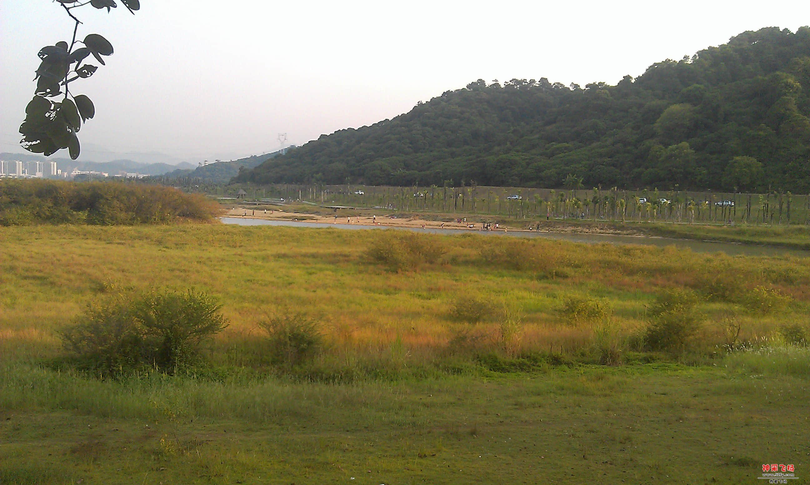 IMAG2976.jpg