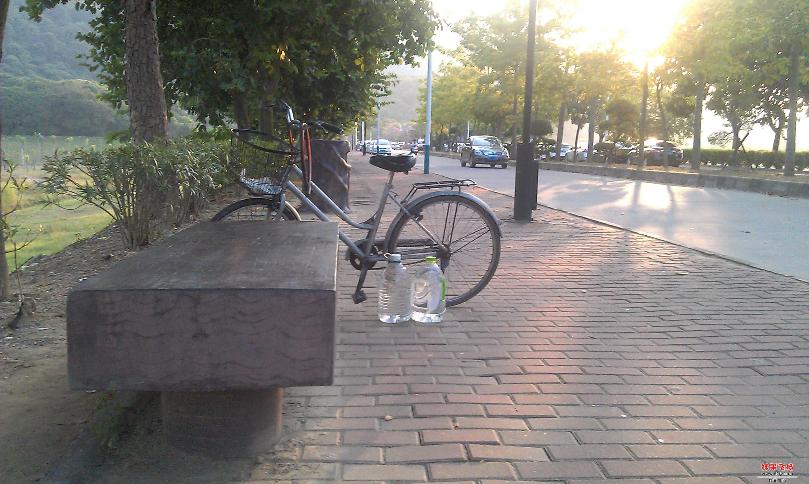 IMAG2978.jpg