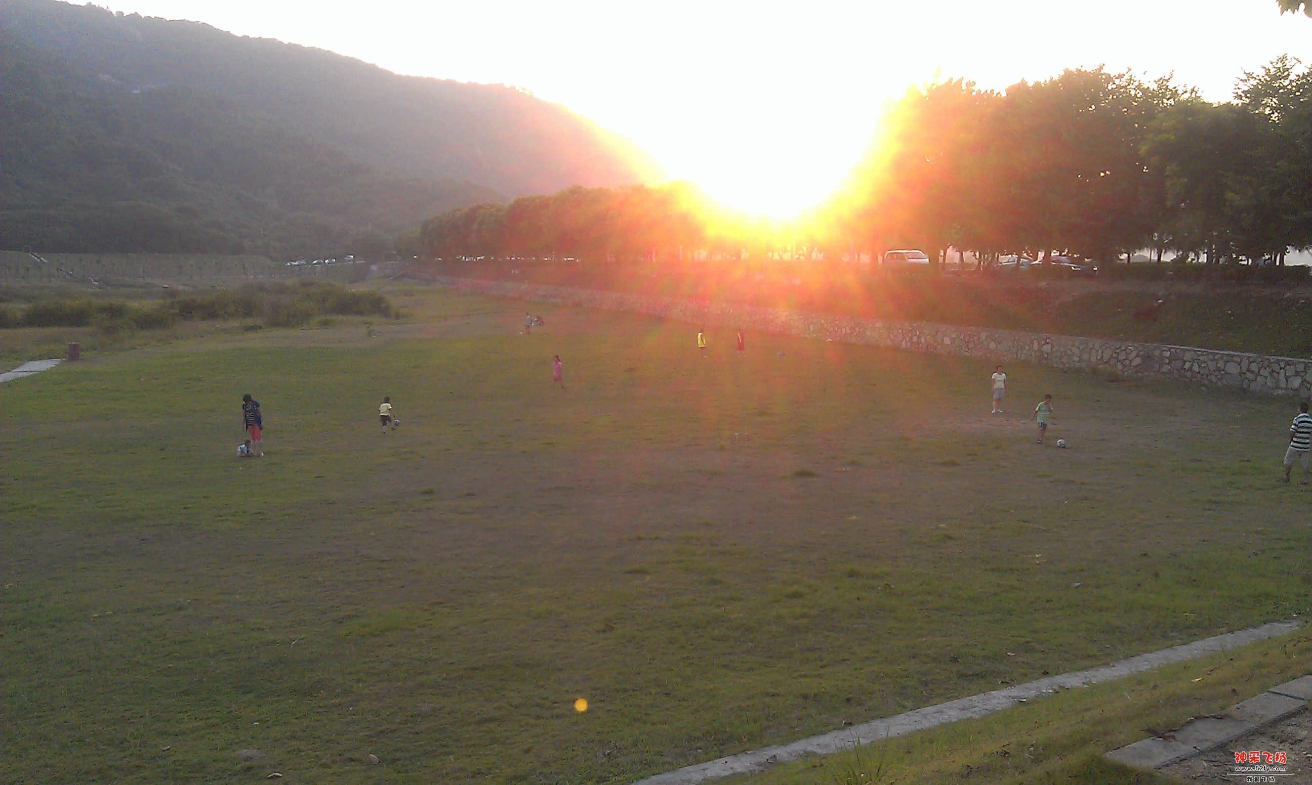 IMAG2979.jpg