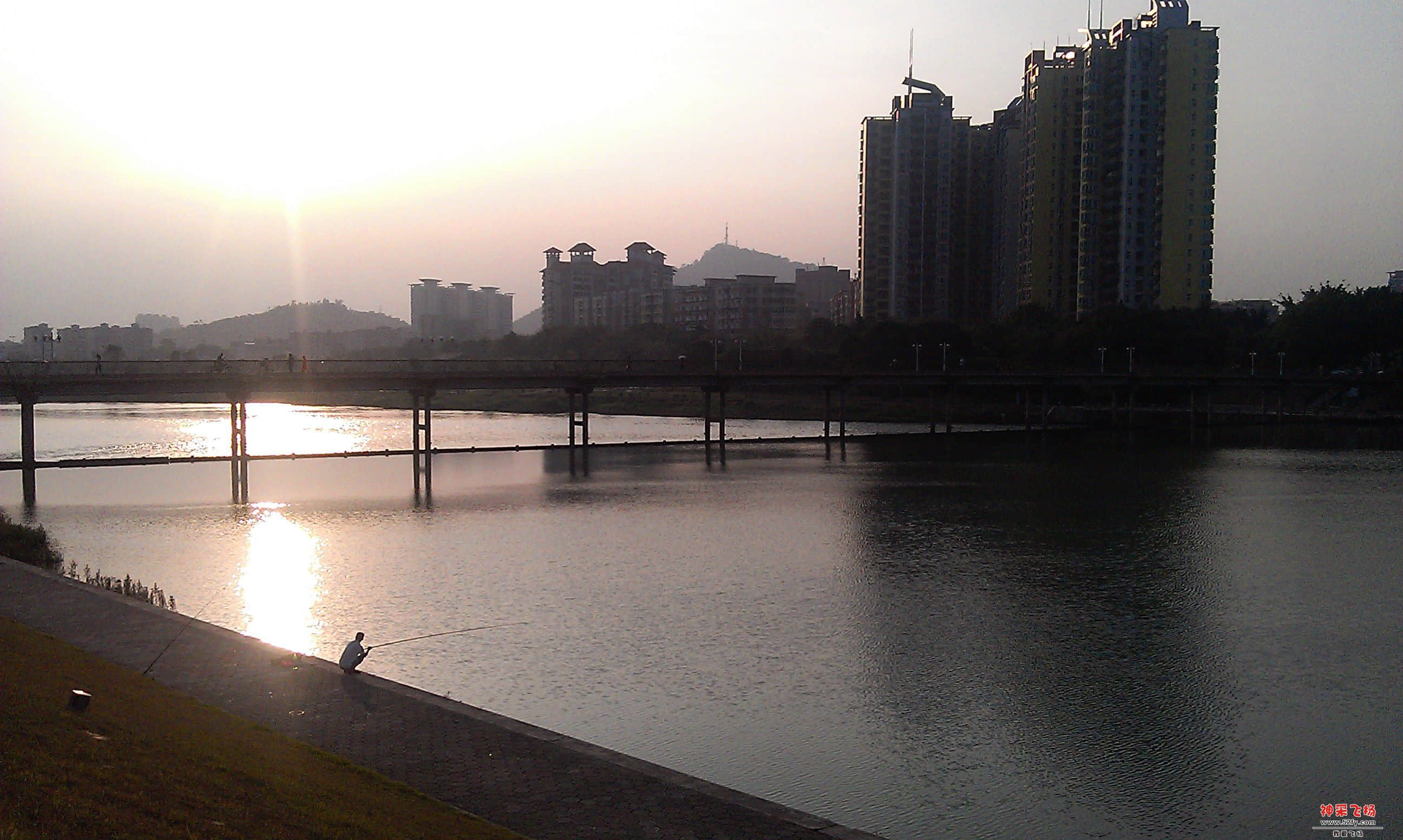 IMAG3164.jpg