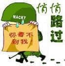 悄悄路过，你看不到我.jpg