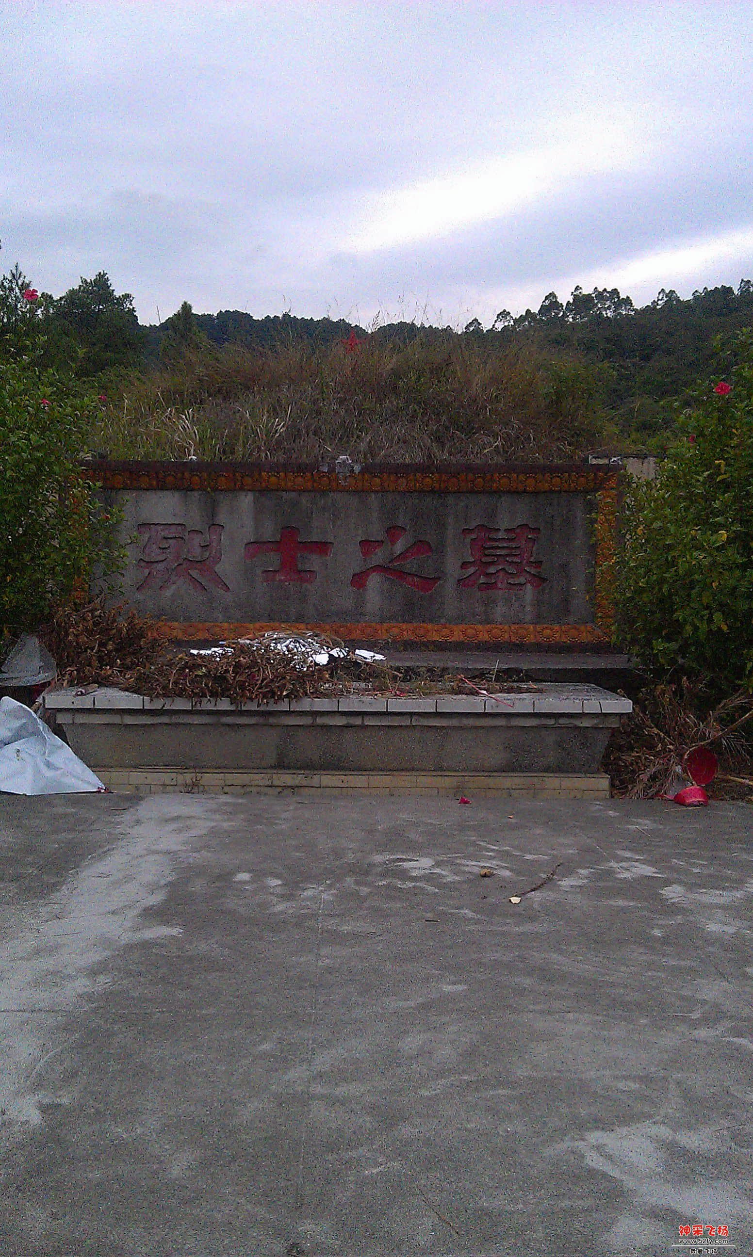 IMAG3296.jpg