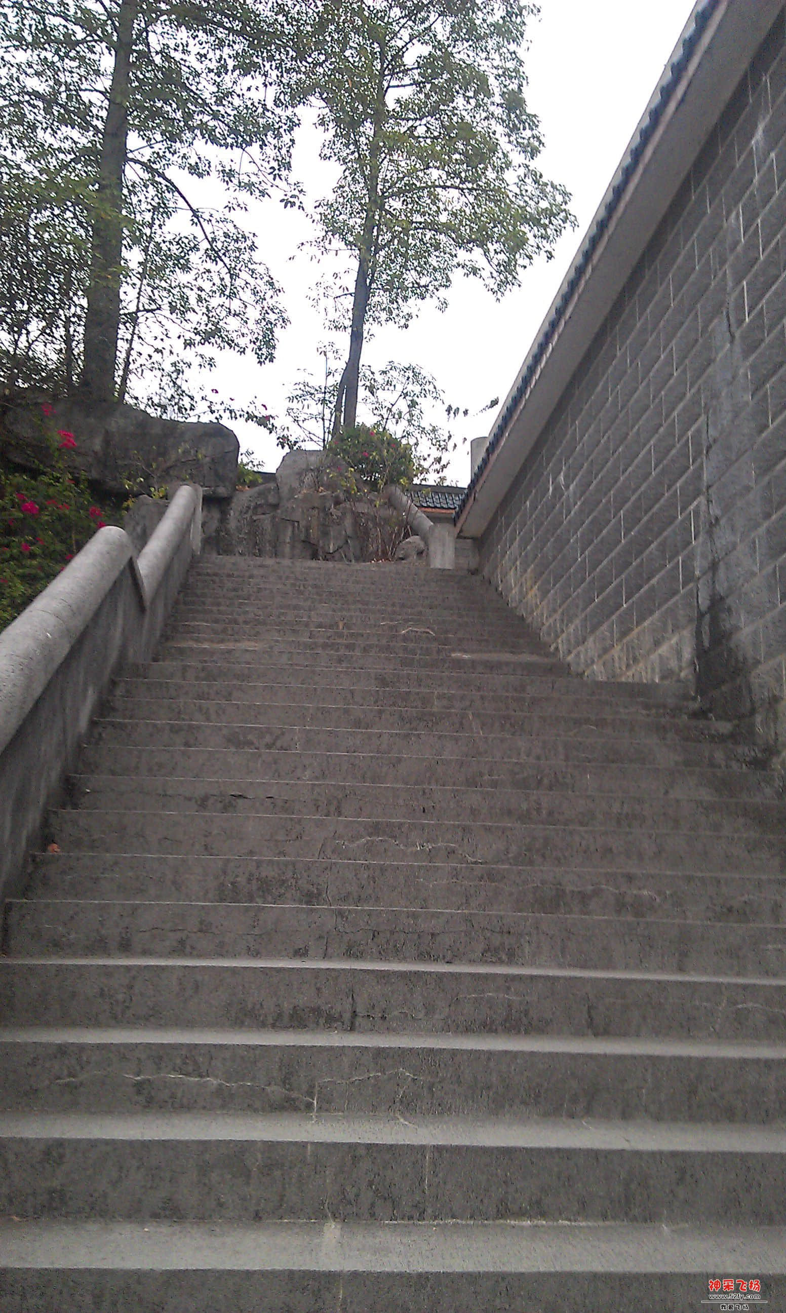 IMAG3256.jpg