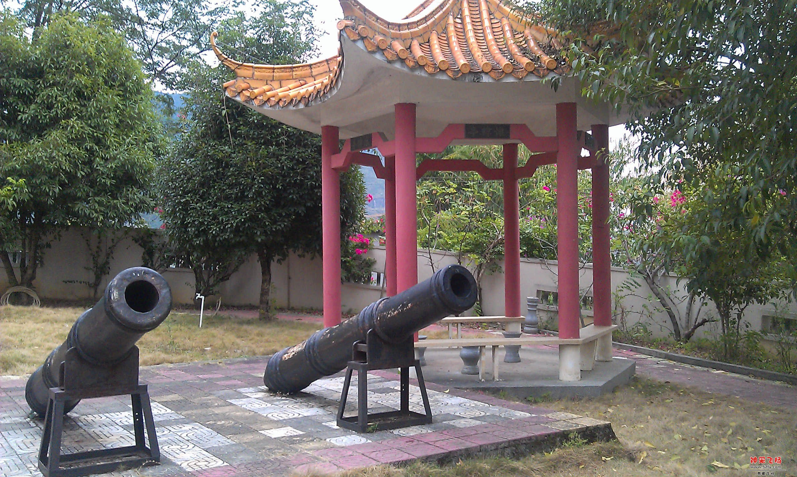 IMAG3264.jpg