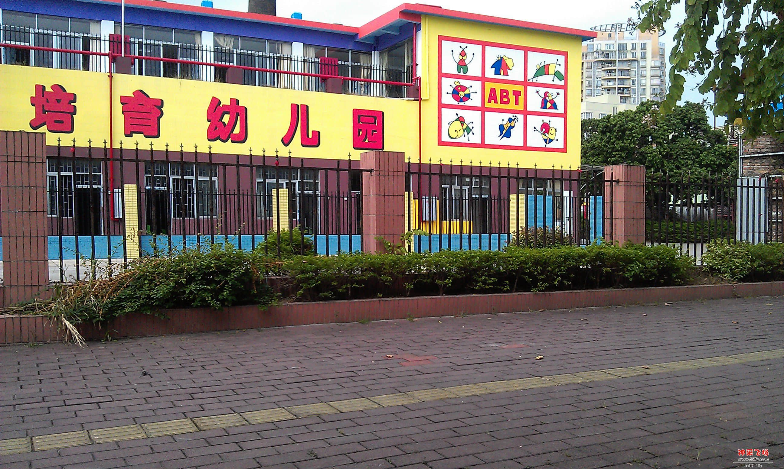 IMAG0011.jpg