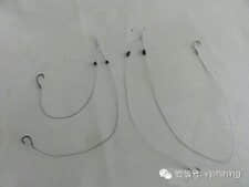 1110_4.jpg