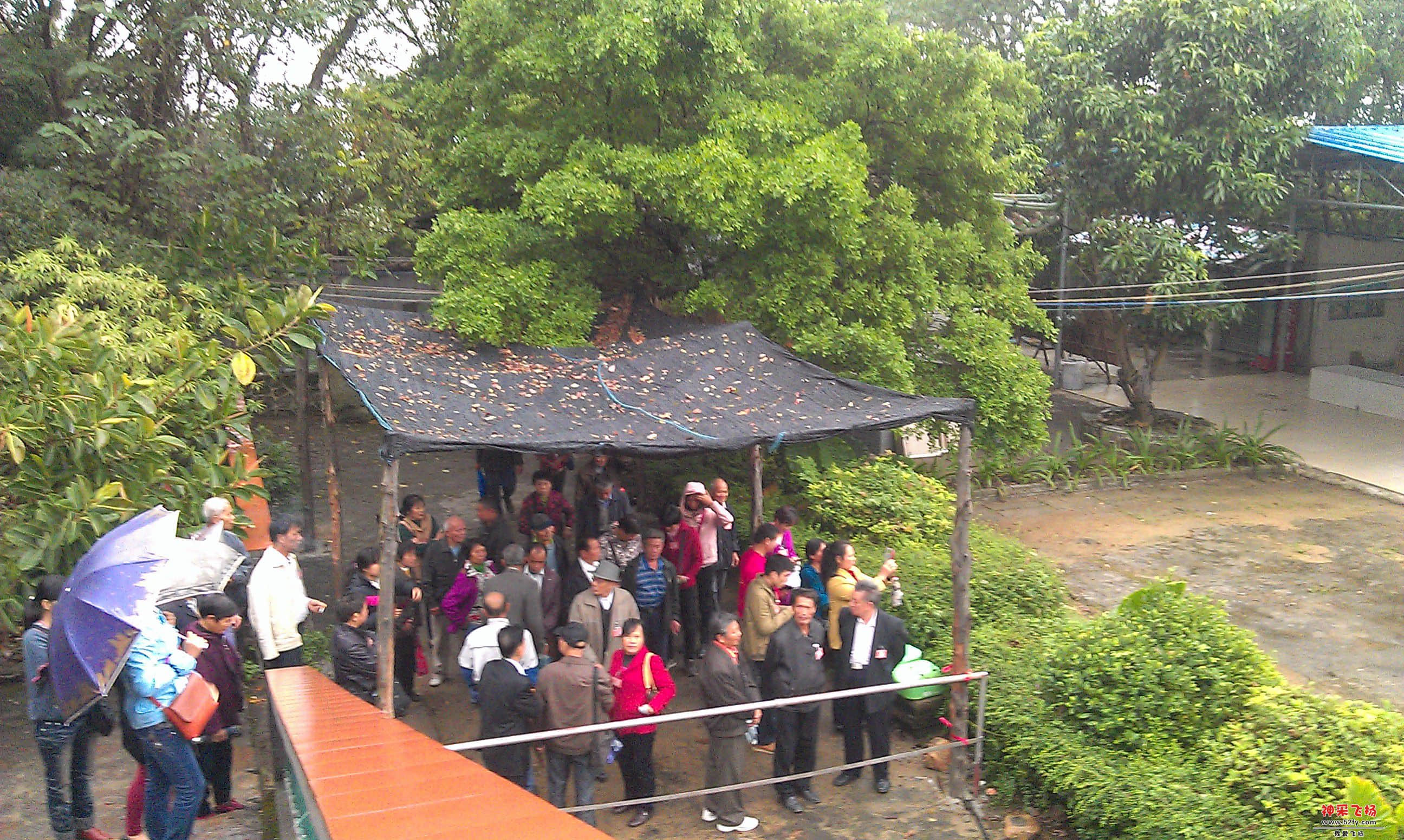 IMAG0024.jpg