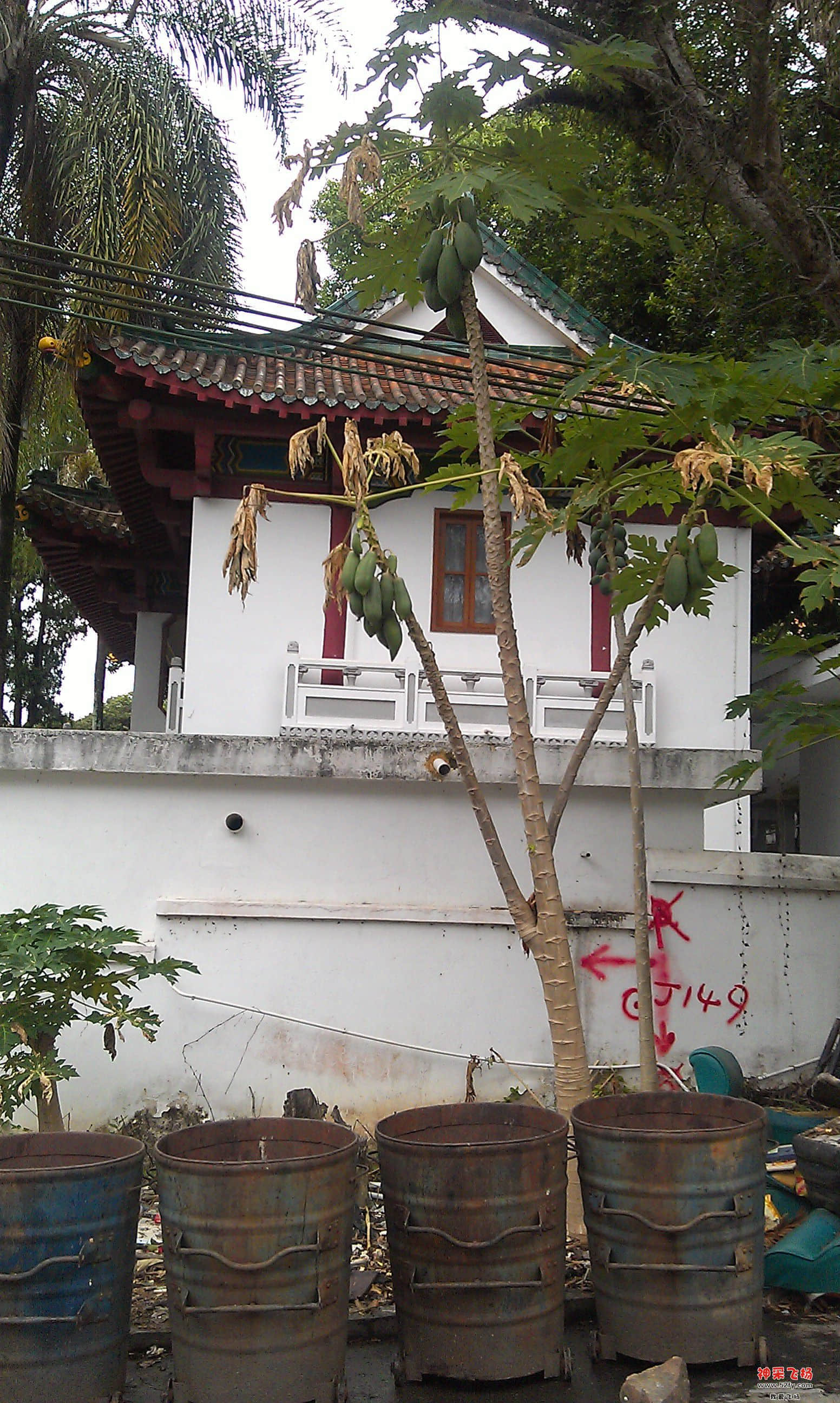 陈济棠别墅5.jpg