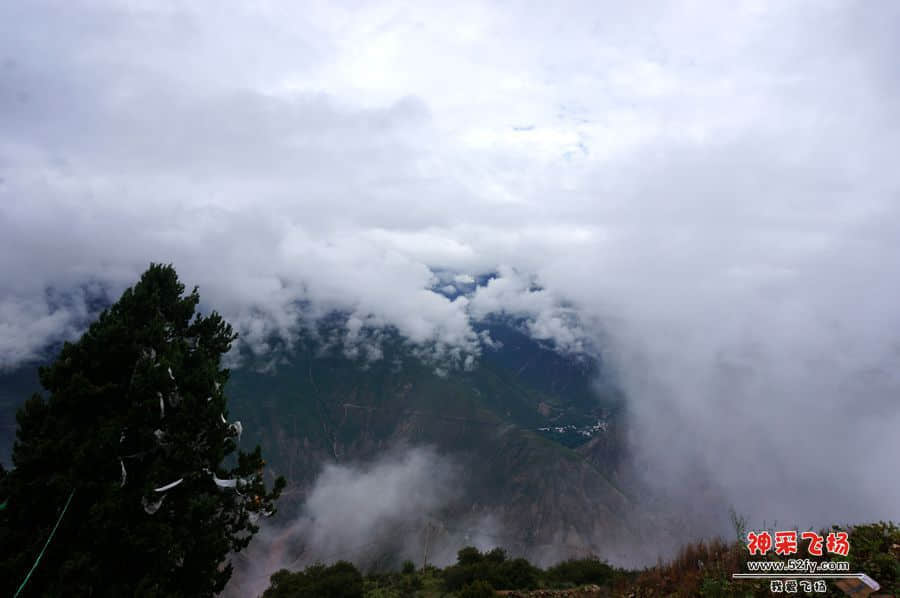 DSC02221_副本.jpg