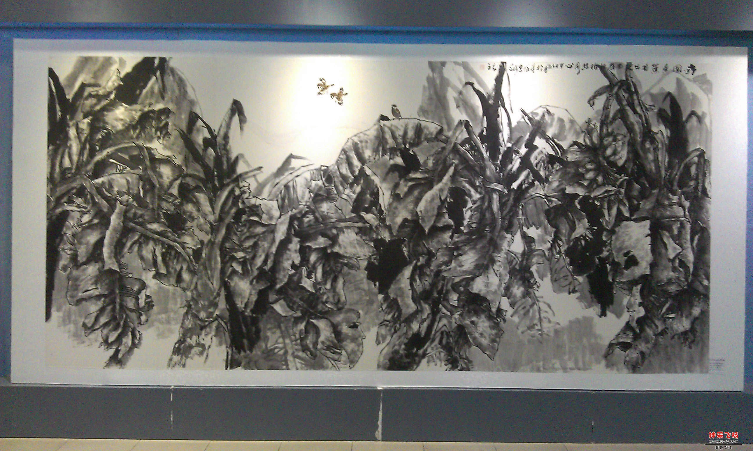 IMAG0033.jpg