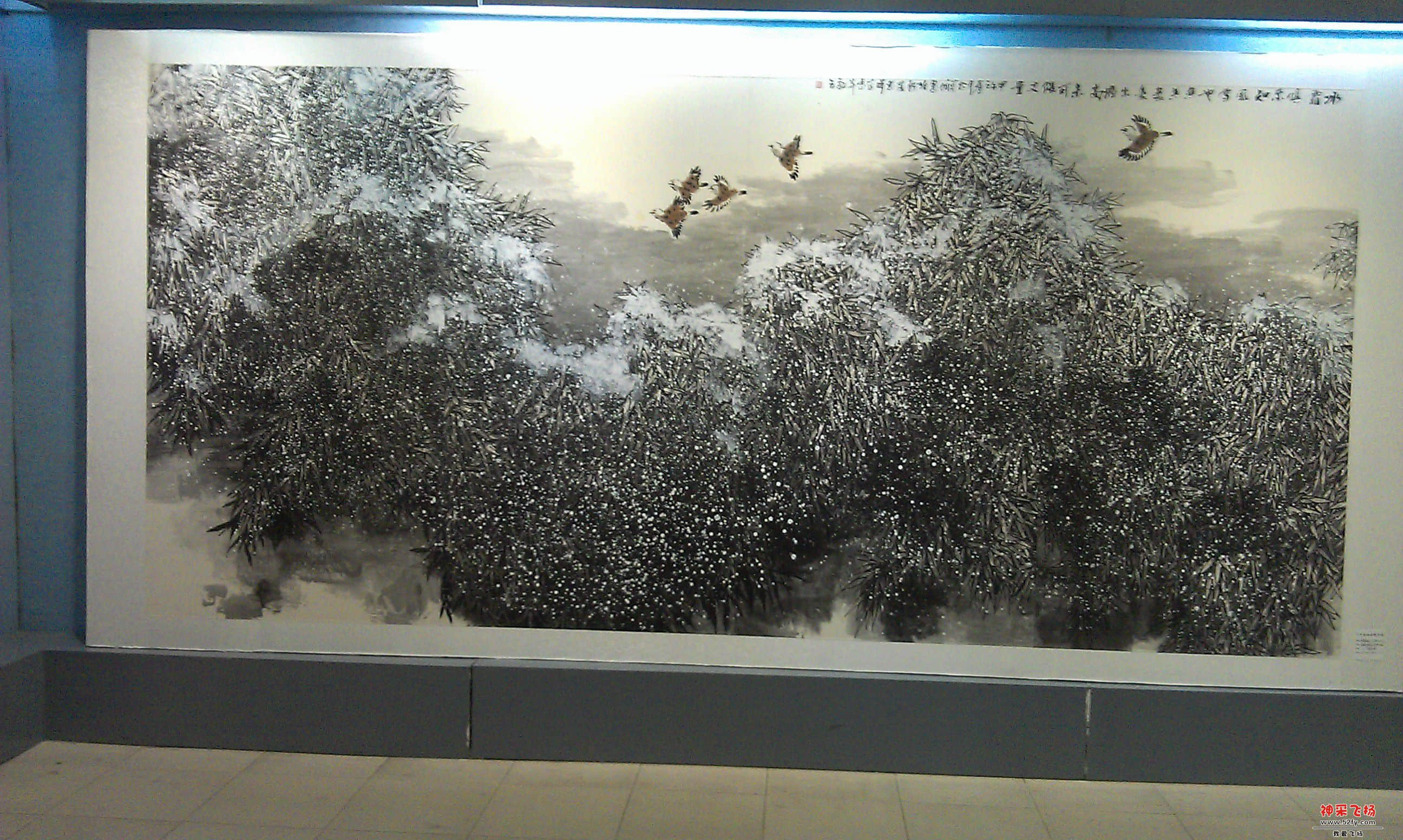 IMAG0041.jpg