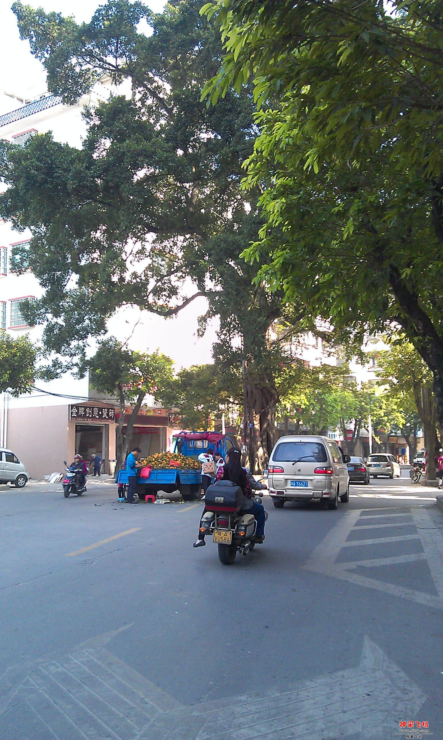 IMAG0043.jpg
