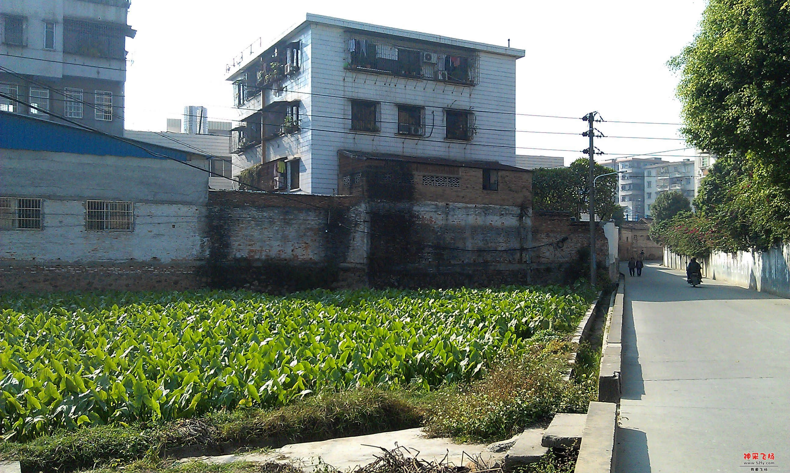 北星村.jpg
