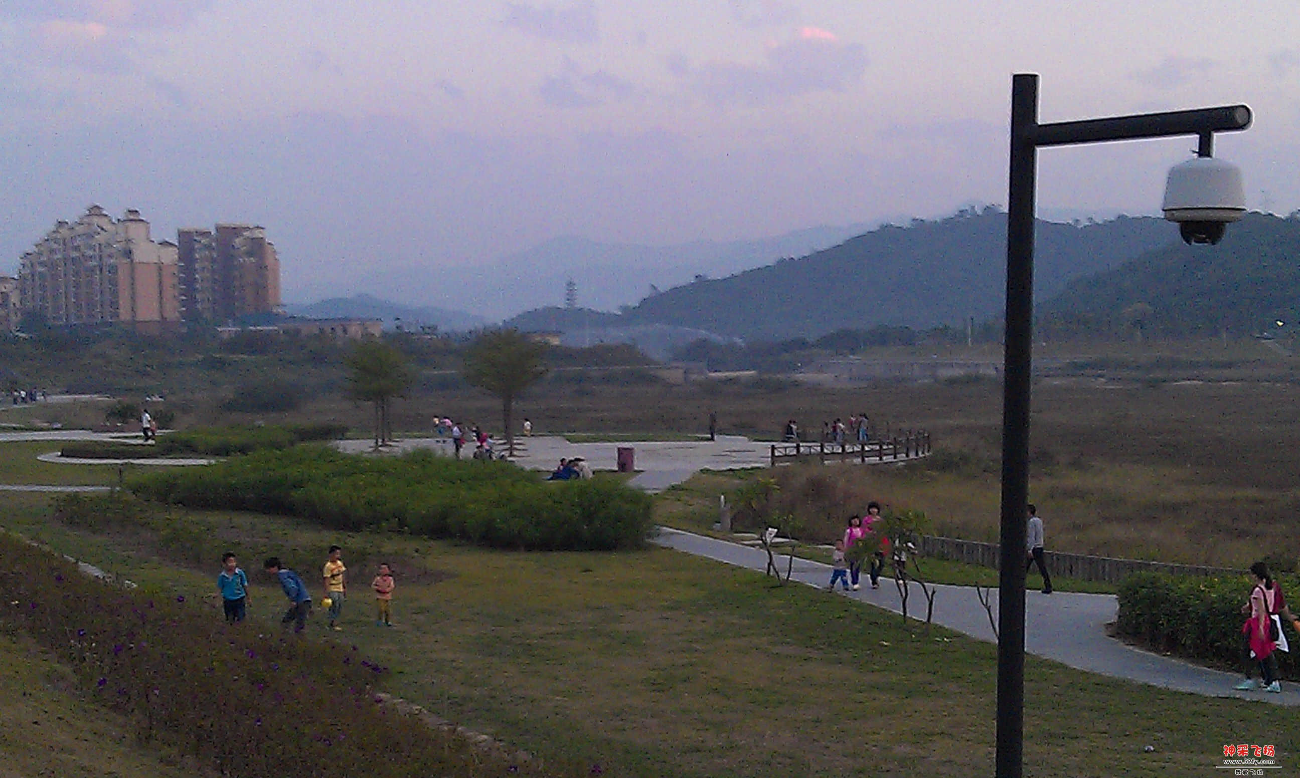 IMAG0003.jpg