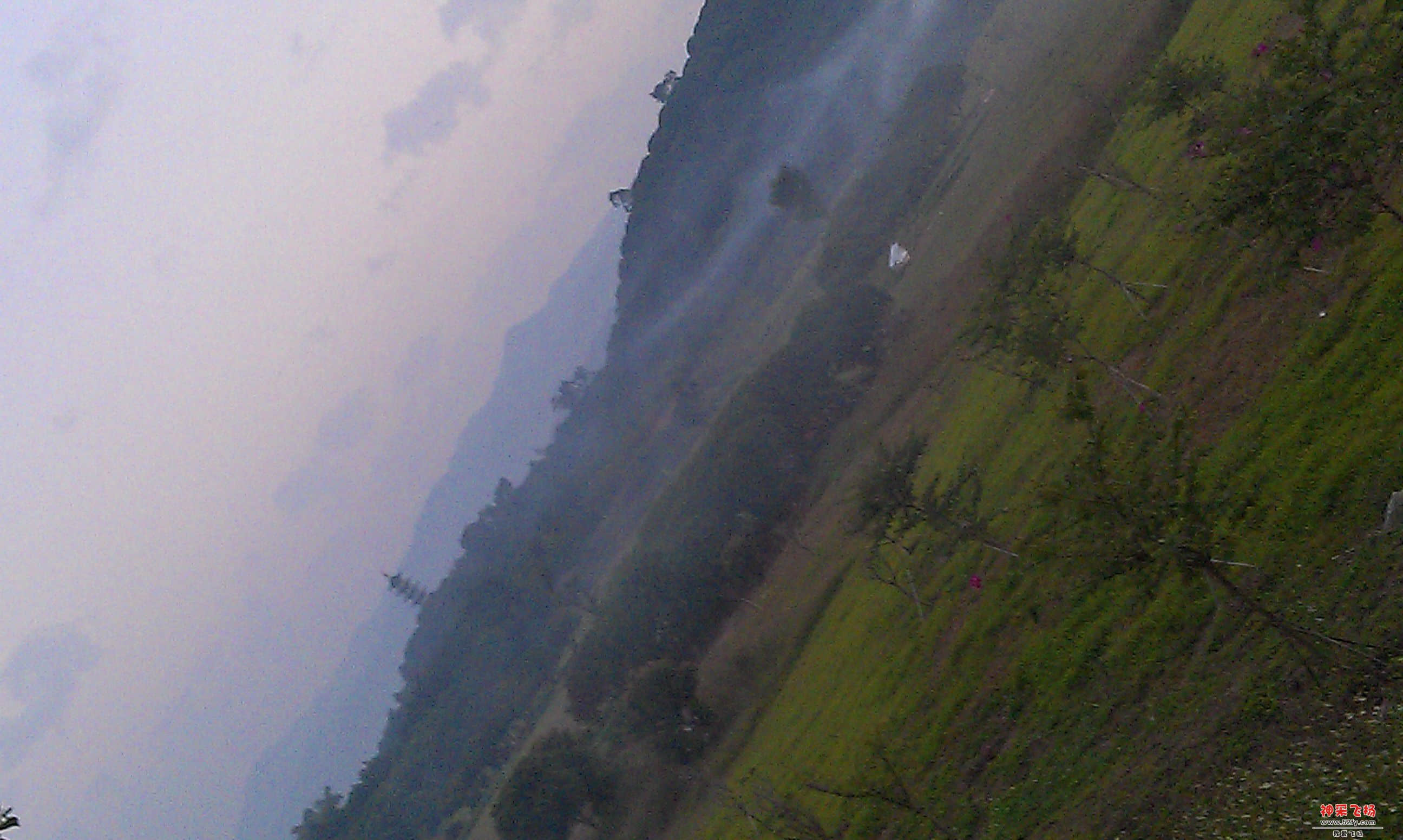 IMAG0009.jpg