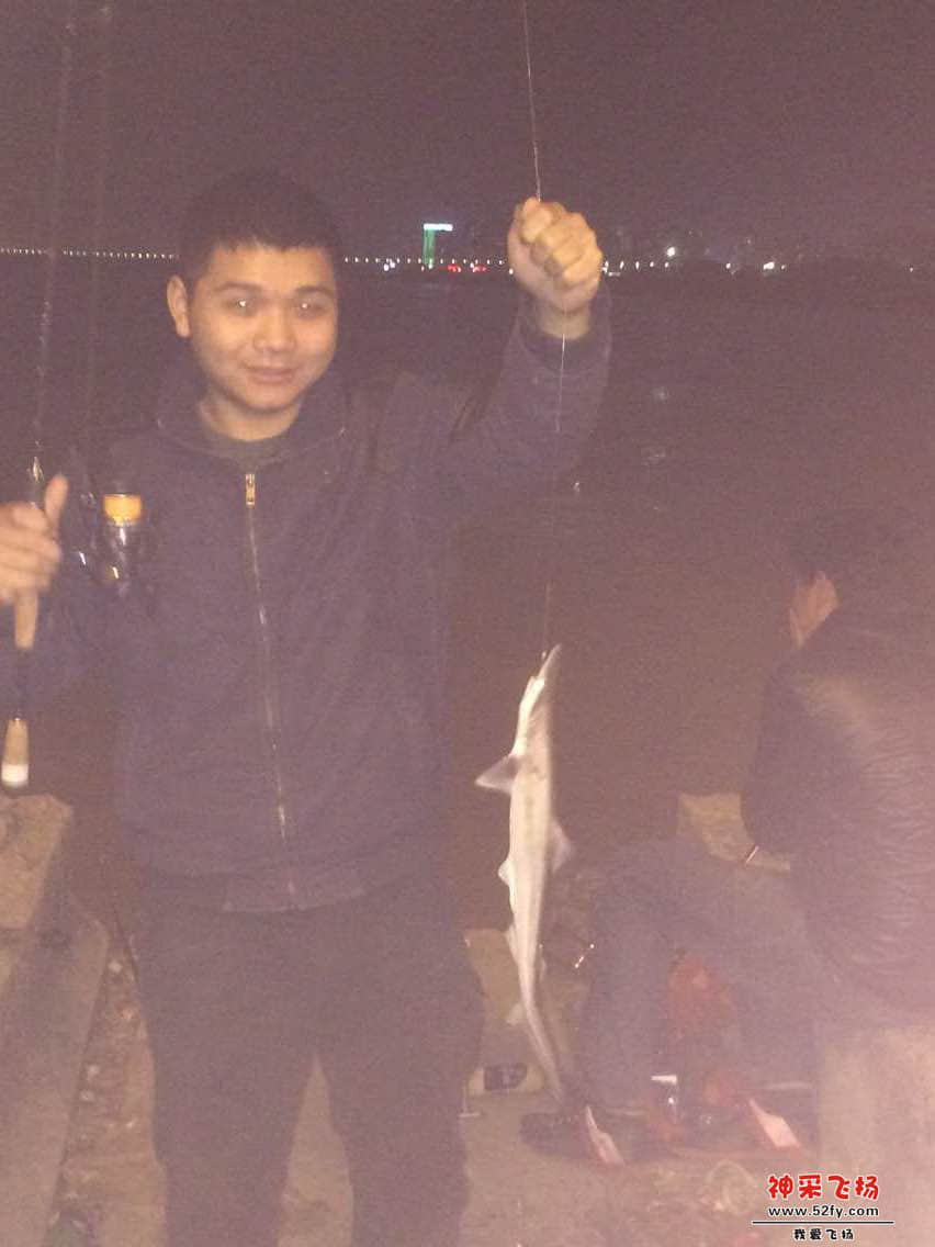 01.JPG