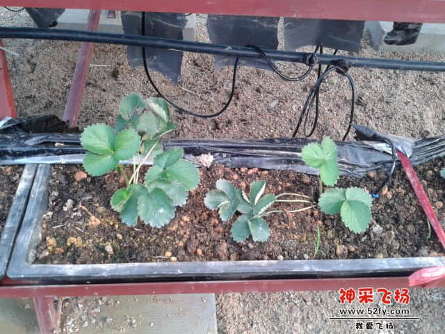 20141031_154021.jpg